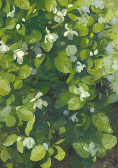 Blühende Magnolie, 2014 von Leigh Glover